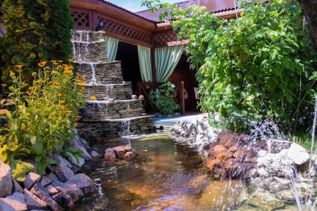 Внешний вид