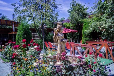 Внешний вид