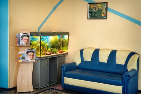 Внешний вид