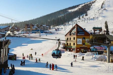 Внешний вид