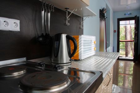 Люкс 2-местный 1-комнатный номер в основном корпусе