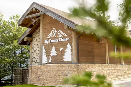 Внешний вид, зима