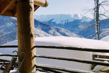 Внешний вид, зима