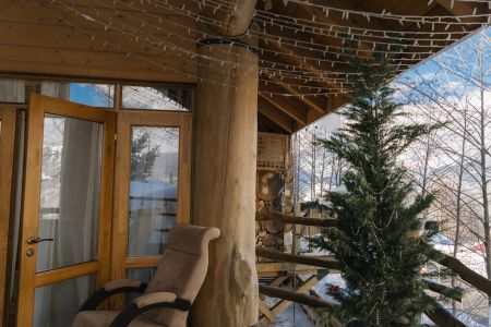 Внешний вид, зима