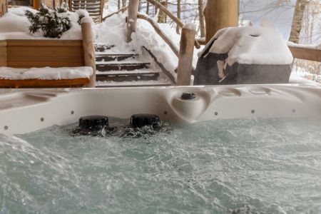 Внешний вид, зима