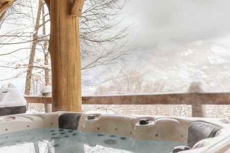 Внешний вид, зима