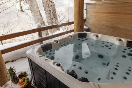 Внешний вид, зима