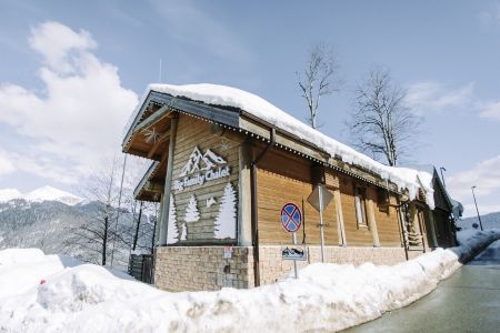 Внешний вид, зима