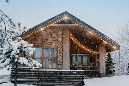 Внешний вид, зима