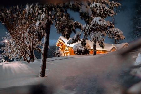 Внешний вид, зима