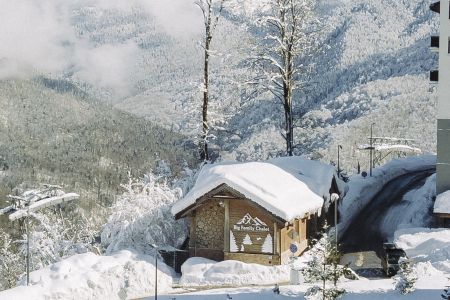 Внешний вид, зима