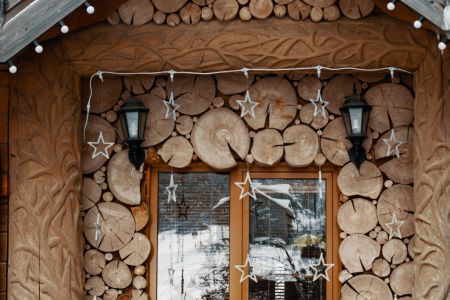 Внешний вид, зима