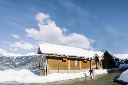 Внешний вид, зима