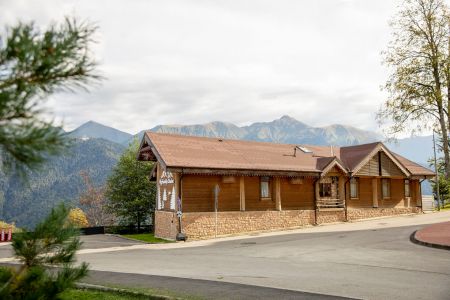 Внешний вид, зима