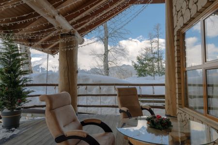 Внешний вид, зима