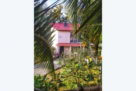 Стандартный 2-местный DBL (вид на лес, №15)