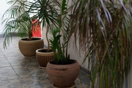 Внешний вид