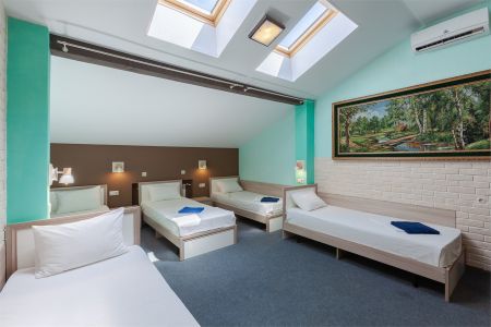 Бизнес 2-местный (№102 сюит с камином)