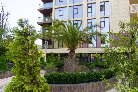 Студио 3-местный 285