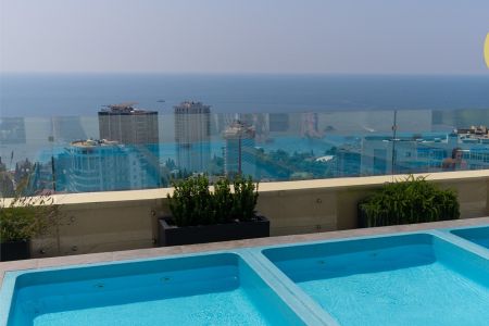 Студио 3-местный 285