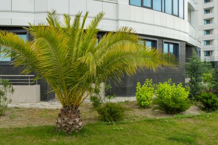 Апартаменты 4-местный (№1175)