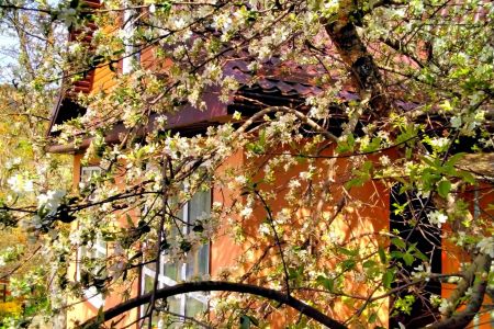 Территория