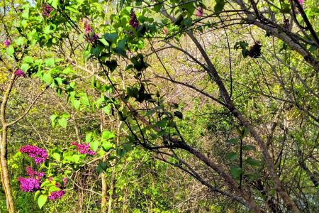 Территория