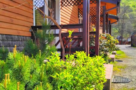 Территория