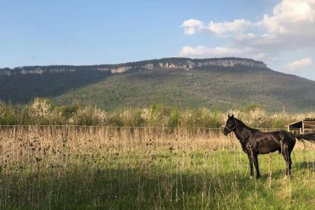 Территория