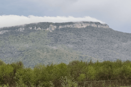 Территория