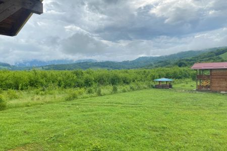 Территория