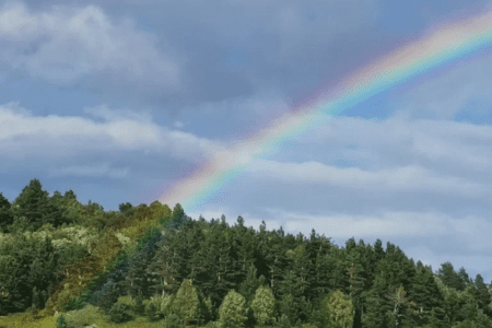 Территория