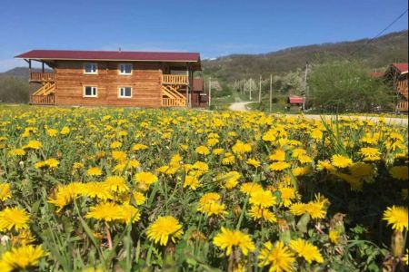 Территория