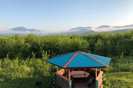 Территория