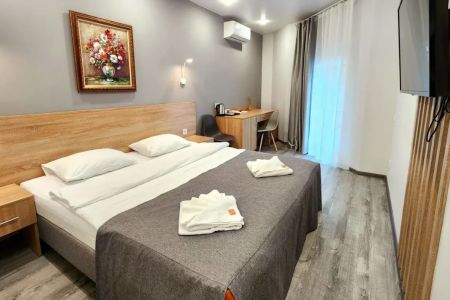 Стандартный 2-местный 1-комнатный (TWIN)