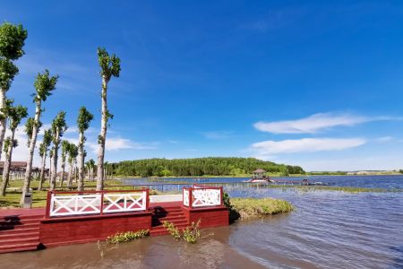 Внешний вид. Люкс Вип