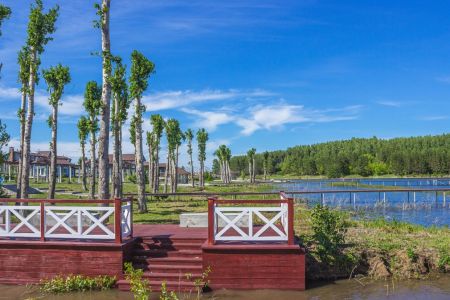 Внешний вид. Люкс Вип