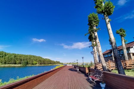 Внешний вид. Люкс Вип