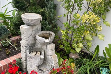 Внешний вид