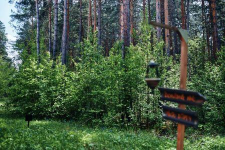 Внешний вид