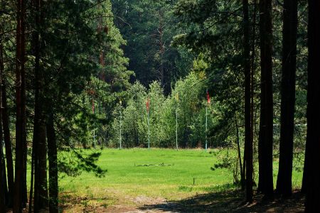 Внешний вид