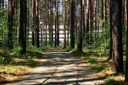 Внешний вид