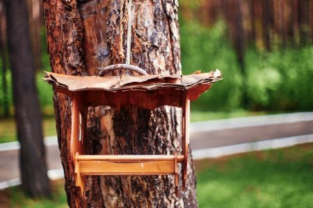 Внешний вид