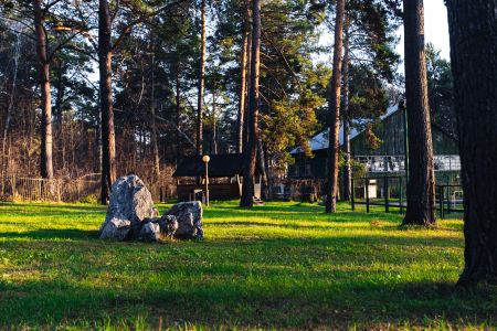 Внешний вид