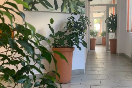 Апартаменты 2-местный