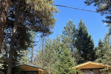 Территория