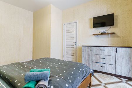 Апартаменты 3-местный (Шевченко 22/534)