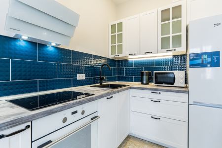 Апартаменты 3-местный (Шевченко 22/392)