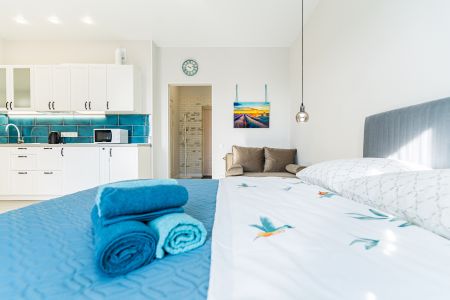 Апартаменты 3-местный (Шевченко 22/534)