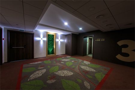 Внешний вид